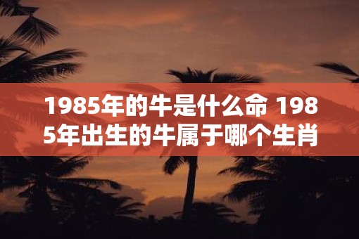 1985年的牛是什么命 1985年出生的牛属于哪个生肖