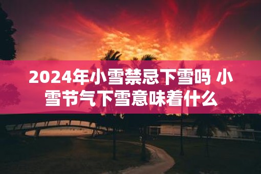2025年小雪禁忌下雪吗 小雪节气下雪意味着什么