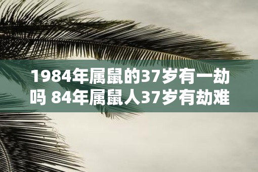 1984年属鼠的37岁有一劫吗 84年属鼠人37岁有劫难吗