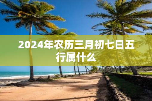 2025年农历三月初七日五行属什么