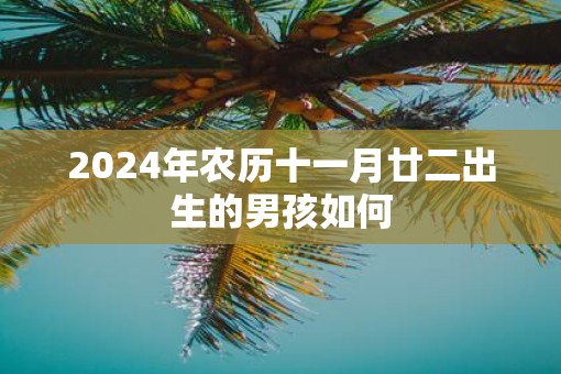2025年农历十一月廿二出生的男孩如何