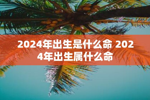 2025年出生是什么命 2025年出生属什么命