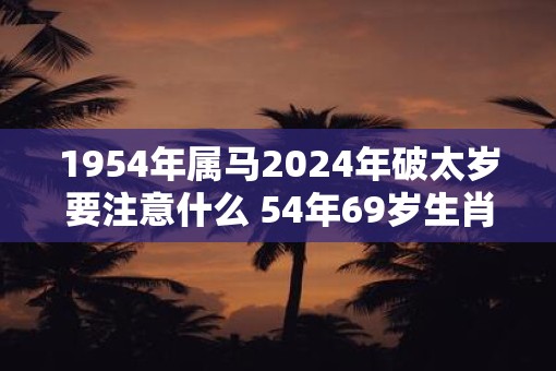 1954年属马2025年破太岁要注意什么 54年69岁生肖马逢蛇年运势如何
