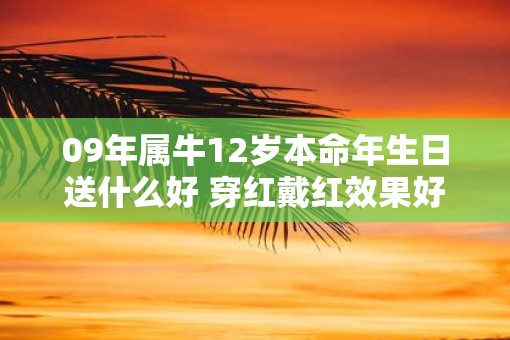 09年属牛12岁本命年生日送什么好 穿红戴红效果好