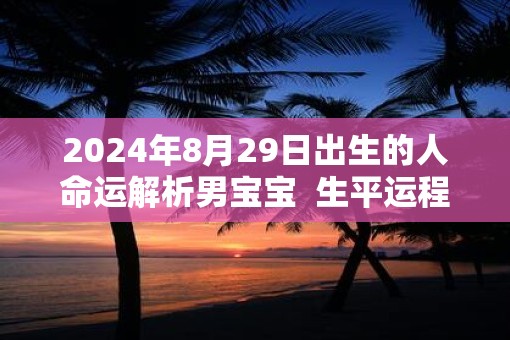 2025年8月29日出生的人命运解析男宝宝  生平运程分析