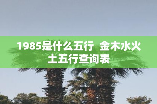1985是什么五行  金木水火土五行查询表