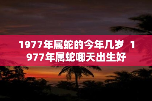 1977年属蛇的今年几岁  1977年属蛇哪天出生好