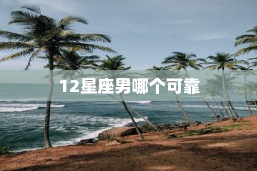 12星座男哪个可靠