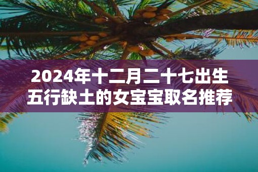 2025年十二月二十七出生五行缺土的女宝宝取名推荐
