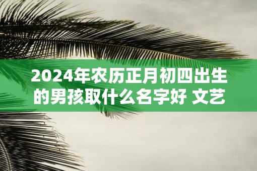 2025年农历正月初四出生的男孩取什么名字好 文艺的名字推荐
