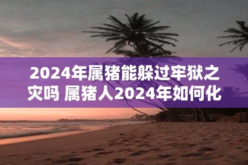 2025年属猪能躲过牢狱之灾吗 属猪人2025年如何化灾