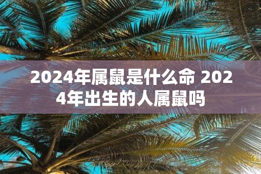 2025年属鼠是什么命 2025年出生的人属鼠吗