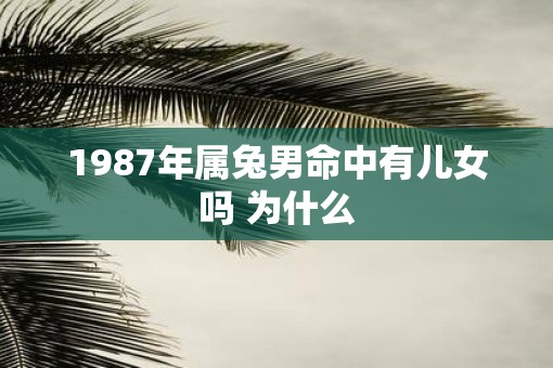 1987年属兔男命中有儿女吗 为什么