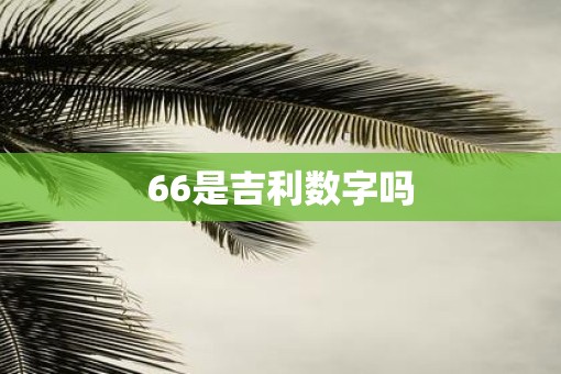 66是吉利数字吗