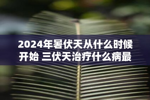 2025年暑伏天从什么时候开始 三伏天治疗什么病最好