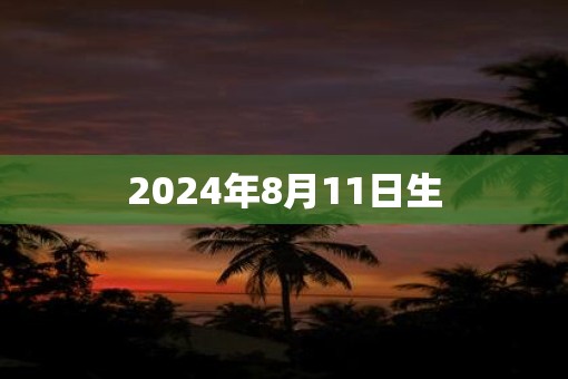 2025年8月11日生