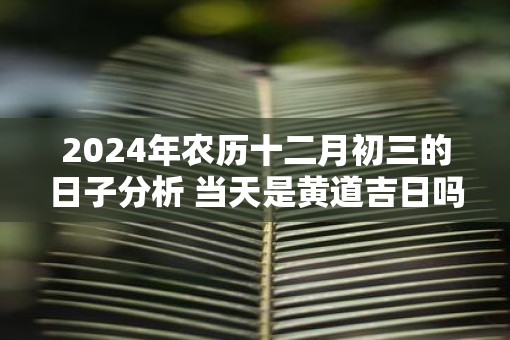 2025年农历十二月初三的日子分析 当天是黄道吉日吗