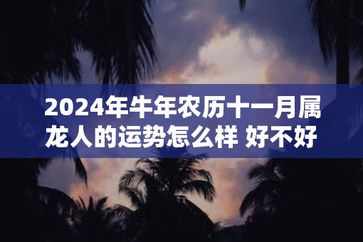 2025年牛年农历十一月属龙人的运势怎么样 好不好 2025年牛年农历十一月属龙人的运势怎么样 好不好