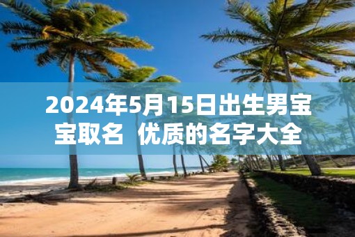 2025年5月15日出生男宝宝取名  优质的名字大全
