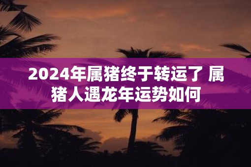2025年属猪终于转运了 属猪人遇蛇年运势如何