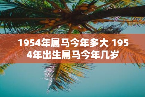 1954年属马今年多大 1954年出生属马今年几岁