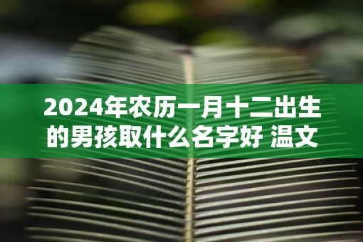 2025年农历一月十二出生的男孩取什么名字好 温文尔雅的名字推荐