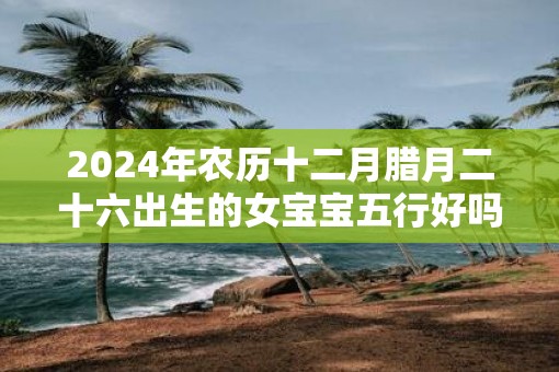2025年农历十二月腊月二十六出生的女宝宝五行好吗  取什么名字最好