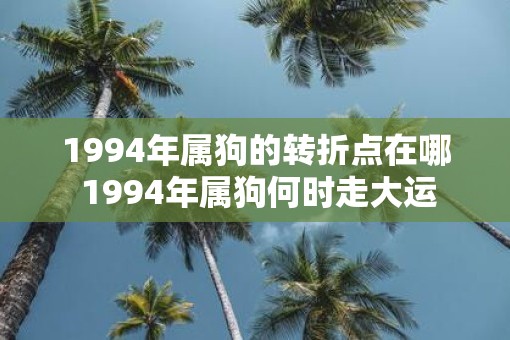 1994年属狗的转折点在哪 1994年属狗何时走大运