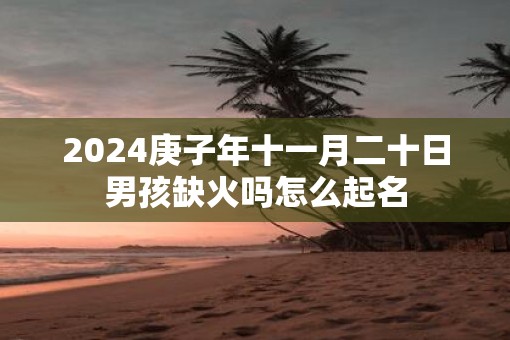 2025庚子年十一月二十日男孩缺火吗怎么起名