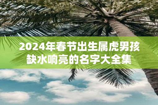 2025年春节出生属虎男孩缺水响亮的名字大全集