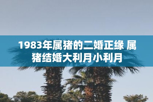 1983年属猪的二婚正缘 属猪结婚大利月小利月