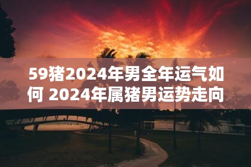 59猪2025年男全年运气如何 2025年属猪男运势走向 59猪2025年男全年运气如何 2025年属猪男运势走向
