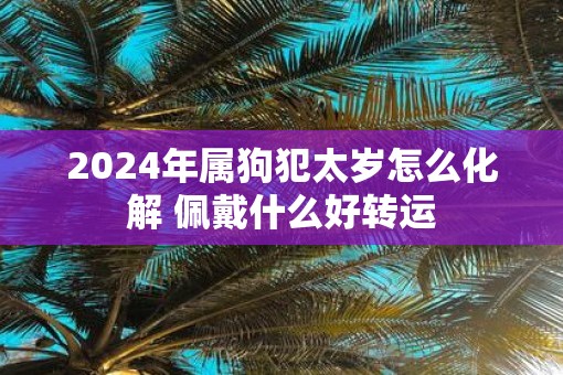 2025年属狗犯太岁怎么化解 佩戴什么好转运