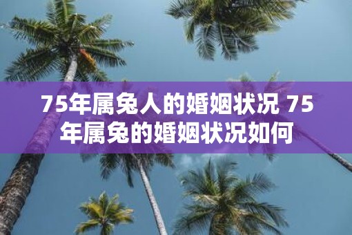 75年属兔人的婚姻状况 75年属兔的婚姻状况如何