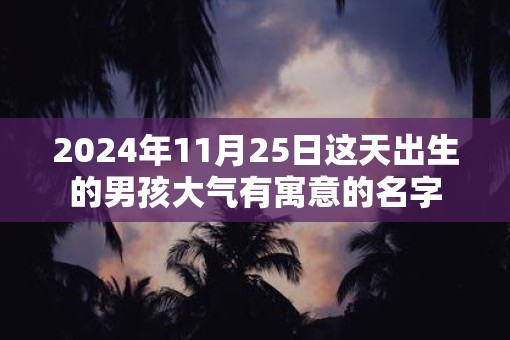 2025年11月25日这天出生的男孩大气有寓意的名字 2025年11月25日这天出生的男孩大气有寓意的名字