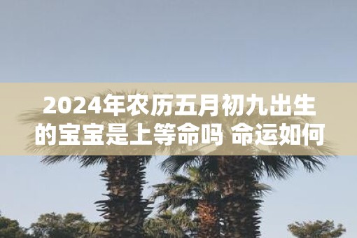 2025年农历五月初九出生的宝宝是上等命吗 命运如何