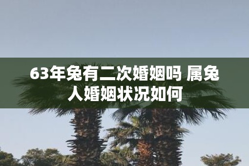 63年兔有二次婚姻吗 属兔人婚姻状况如何