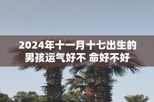 2025年十一月十七出生的男孩运气好不 命好不好