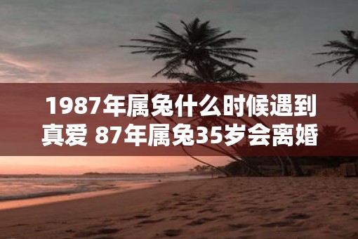 1987年属兔什么时候遇到真爱 87年属兔35岁会离婚吗