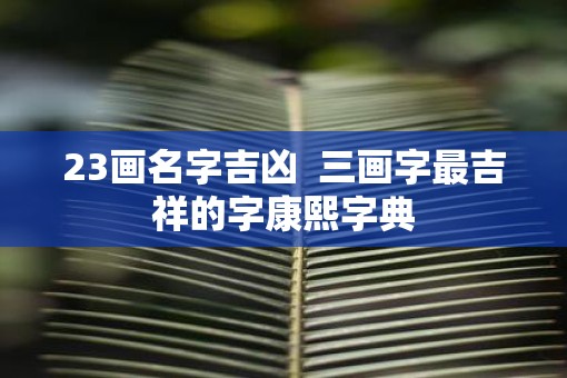 23画名字吉凶  三画字最吉祥的字康熙字典