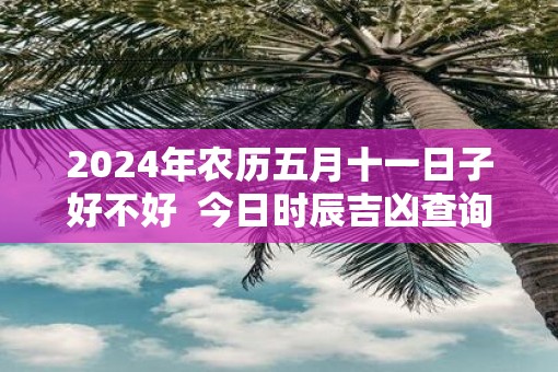 2025年农历五月十一日子好不好  今日时辰吉凶查询