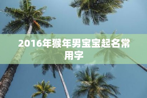 2016年猴年男宝宝起名常用字