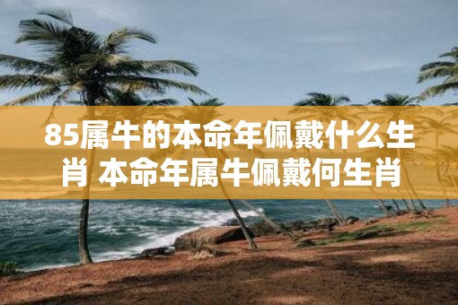 85属牛的本命年佩戴什么生肖 本命年属牛佩戴何生肖