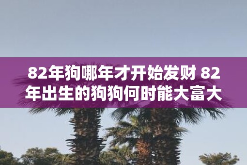 82年狗哪年才开始发财 82年出生的狗狗何时能大富大贵