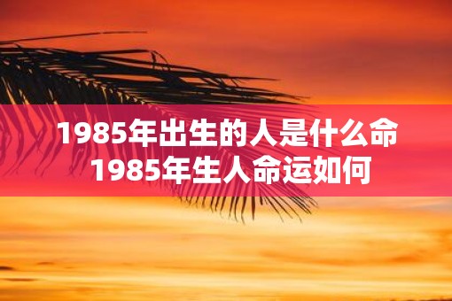 1985年出生的人是什么命 1985年生人命运如何