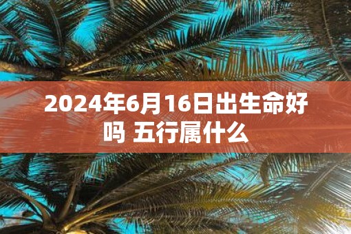 2025年6月16日出生命好吗 五行属什么