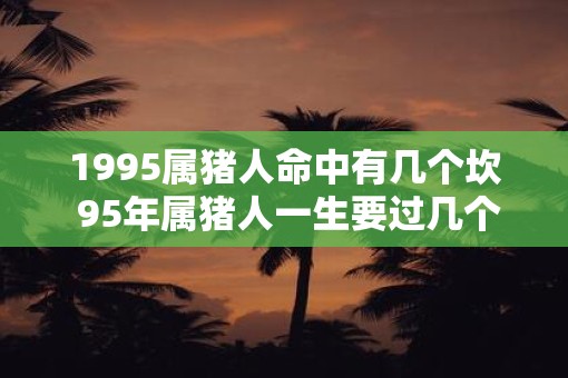 1995属猪人命中有几个坎 95年属猪人一生要过几个难关