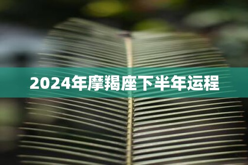 2025年摩羯座下半年运程
