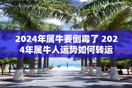 2025年属牛要倒霉了 2025年属牛人运势如何转运