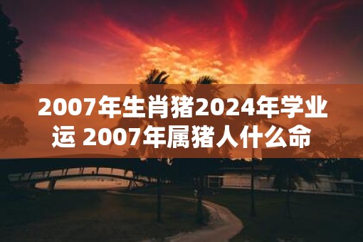 2007年生肖猪2025年学业运 2007年属猪人什么命